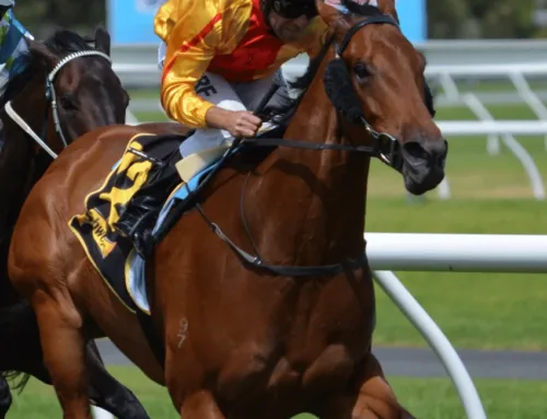 Horse Racing